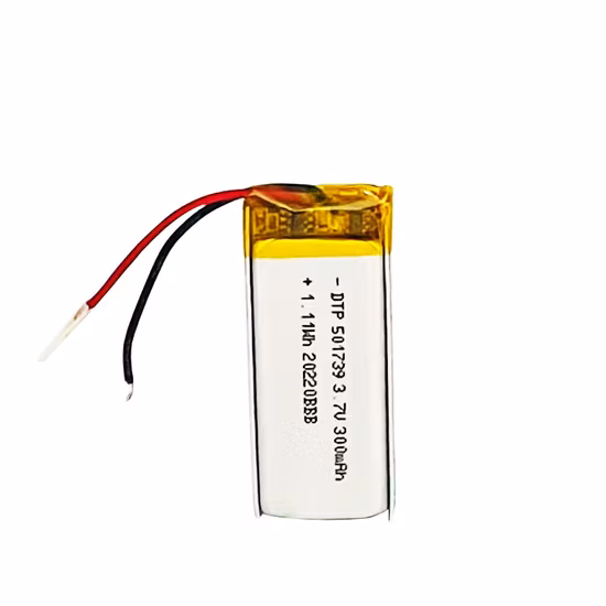 3.7V 300mAh Lithium Polymer Battery for iPod, Gsp Tablet, Toys
